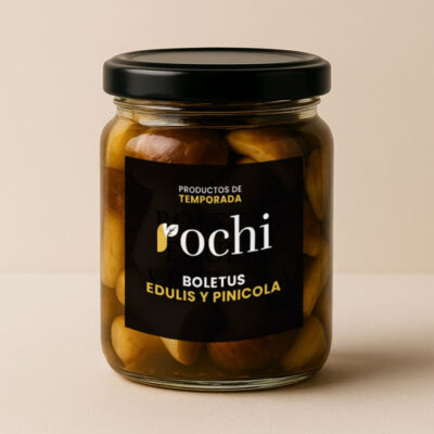 Boletus edulis y pinicola 