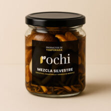 Mezcla silvestre (Boletus, chantarela y angula de monte)